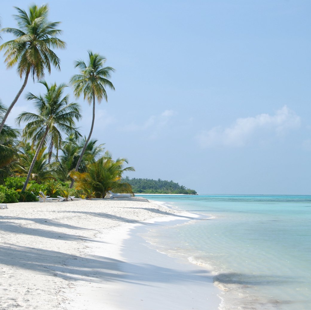 A Beautiful Beach under a Clear Sky